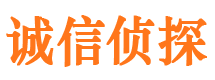 炉霍外遇出轨调查取证